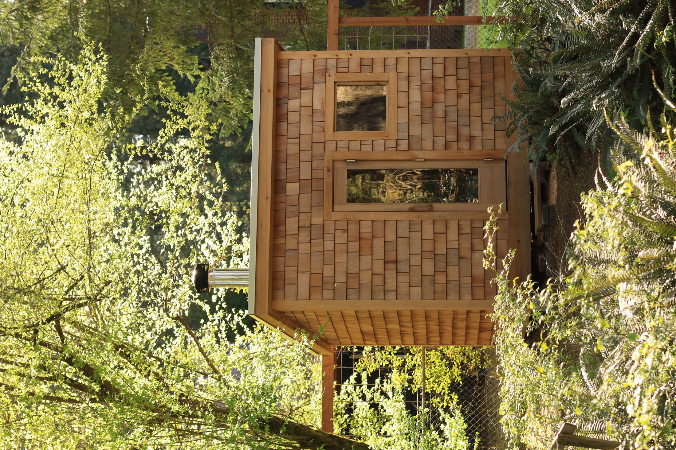 The Woodinville sauna in its wooded garden setting